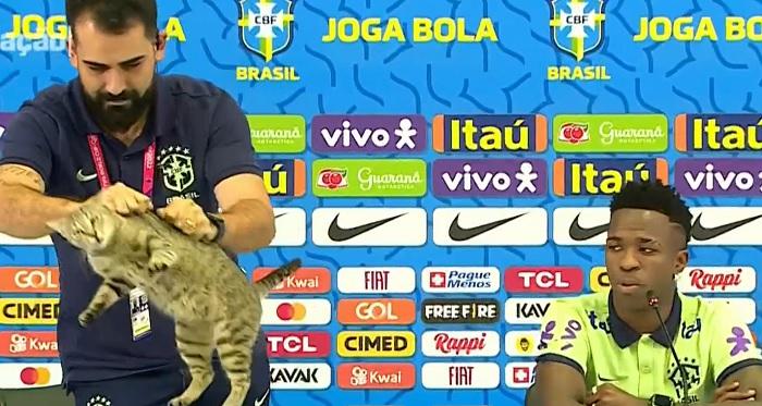 Brazil Didepak Kroasia, Netizen: Kualat sama Kucing!