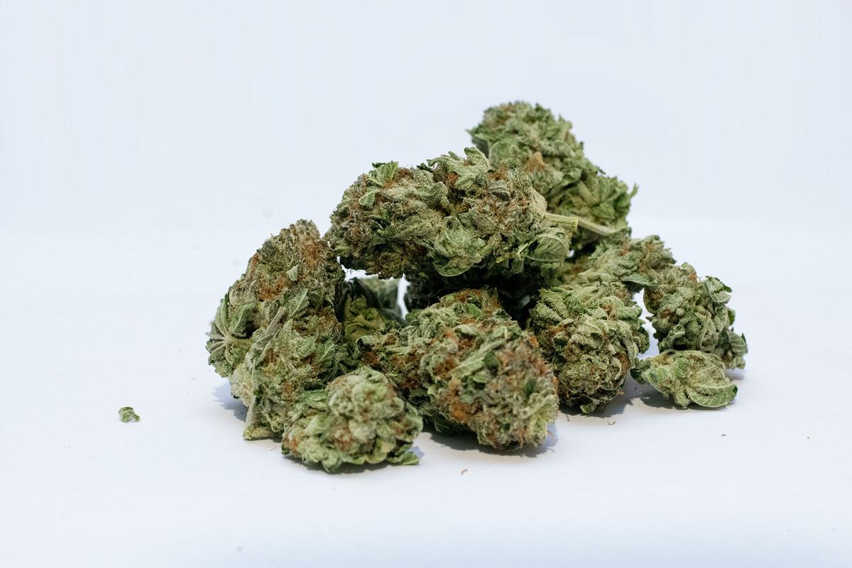 Penyelundupan 15,7 Kilogram Ganja Digagalkan BNN Babel