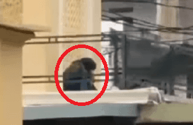 Viral Video Sejoli Mesum di Masjid Kawasan Bandung