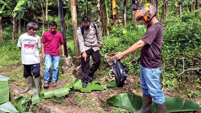 Waduh! 11 Ekor Domba Raib Digondol Maling Bikin Pemilik Terkejut