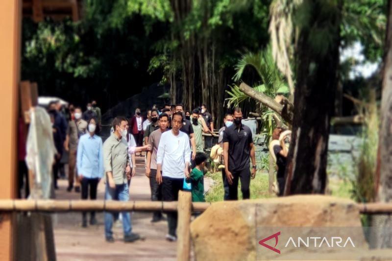 Jokowi dan Istri Ajak Dua Cucunya Keliling di Solo Safari di Jurug