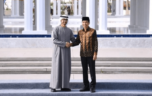 Ketertarikan UEA Investasi di IKN Karena Energi Terbarukan