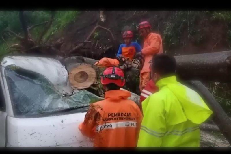 BPBD Trenggalek Imbau Warga Waspada Potensi Bencana Angin Kencang