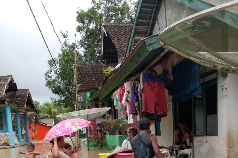 Imbas Banjir Tak Kunjung Surut, 40 Hektare Sawah di Pandeglang Dipastikan Gagal Panen