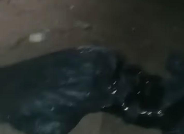 Geger Temuan Mayat Wanita Terbungkus Plastik Hitam di Kolong Tol Becakayu Bekasi