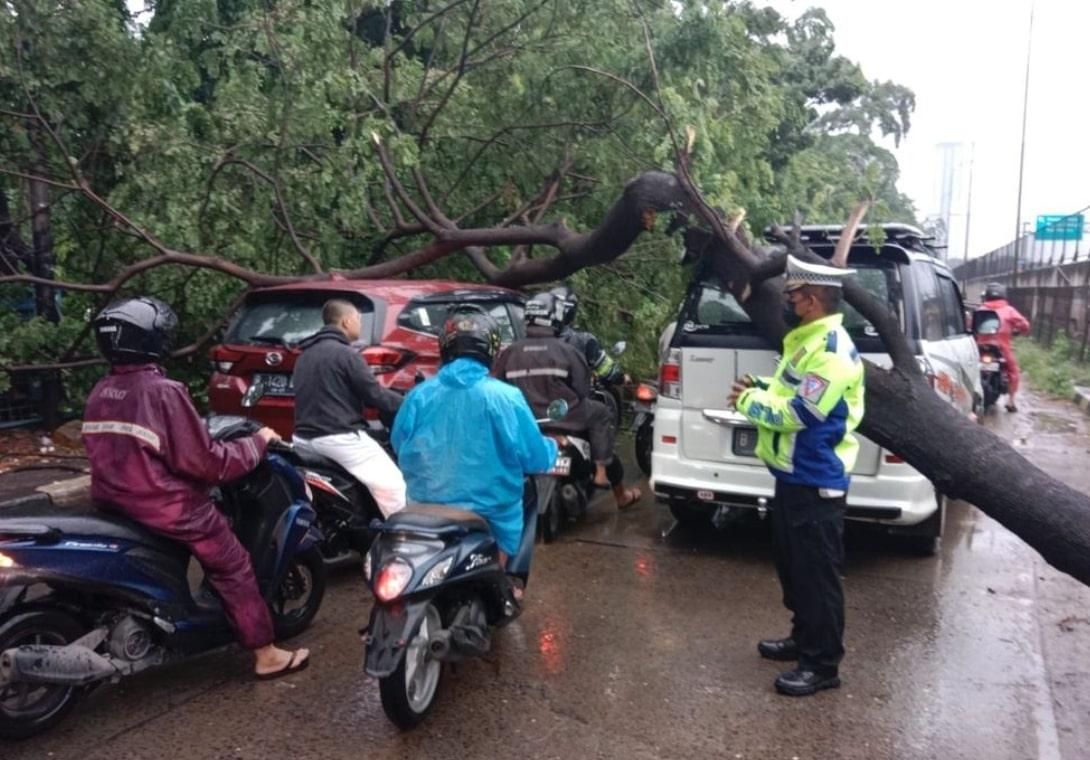 Pohon Tumbang di Kamal Jakbar, Lalin Sekitar Lokasi Kejadian Padat