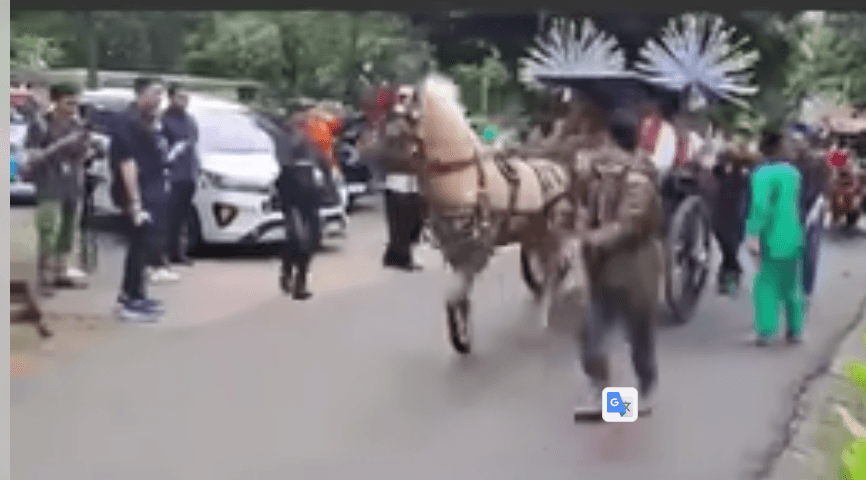 Netizen Heboh soal Kuda “Menolak” saat Dinaiki Anies Baswedan