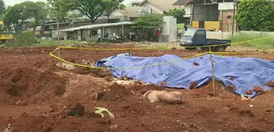 Kuasa Hukum Tegaskan Beras Rusak yang Dikubur di Depok itu Milik JNE