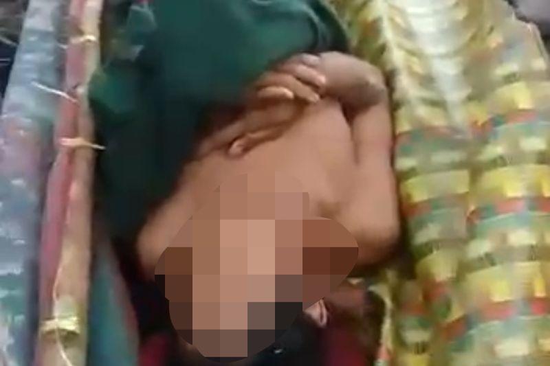 Seorang Warga Riau Tewas Diterkam Harimau Sumatera di Siak