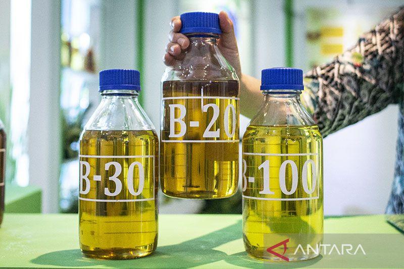 Implementasi Biodiesel bukan hanya soal Bahan Bakar, tapi Dorong Bisnis Sawit Berkelanjutan
