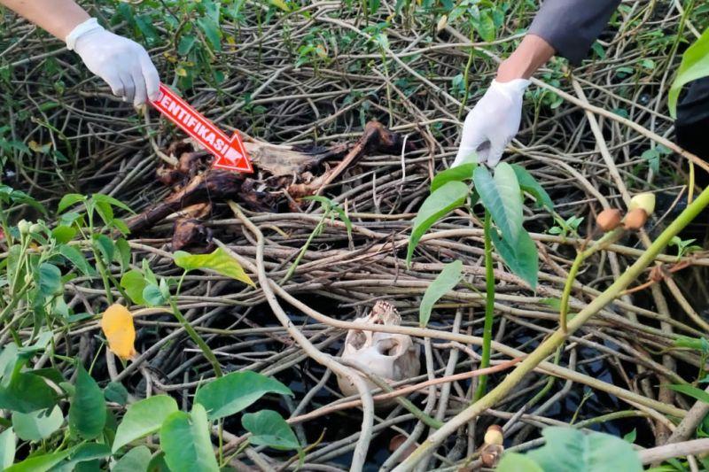Polisi Masih Berupaya Ungkap Identitas Kerangka Manusia yang Ditemukan di Kudus