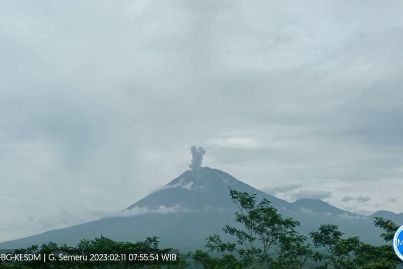 Gunung Semeru Erupsi Lagi dengan Tinggi Letusan 800 Meter