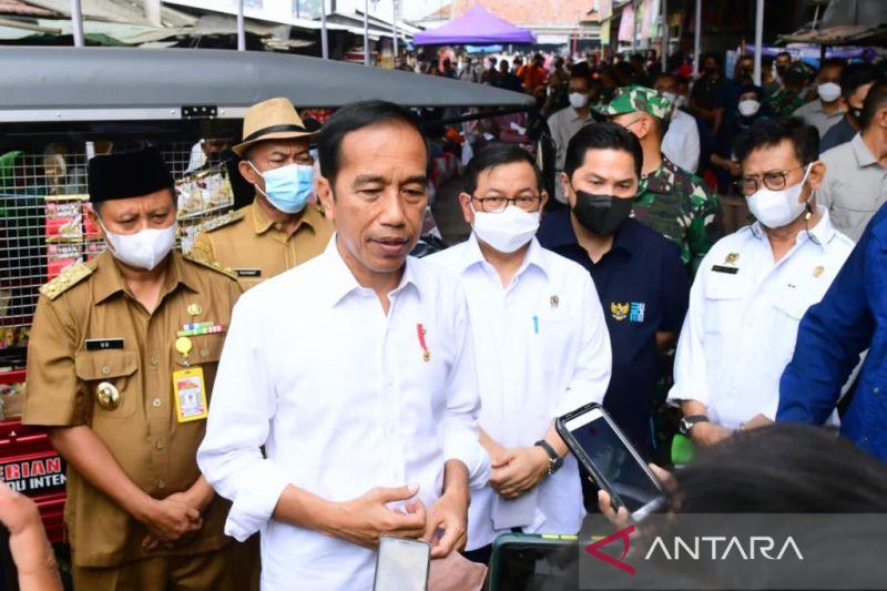 Unggahan Jokowi Bikin Salah Fokus, Ada Kucing Berenang sampai 'Begitu Sulit Lupakan Rehan'