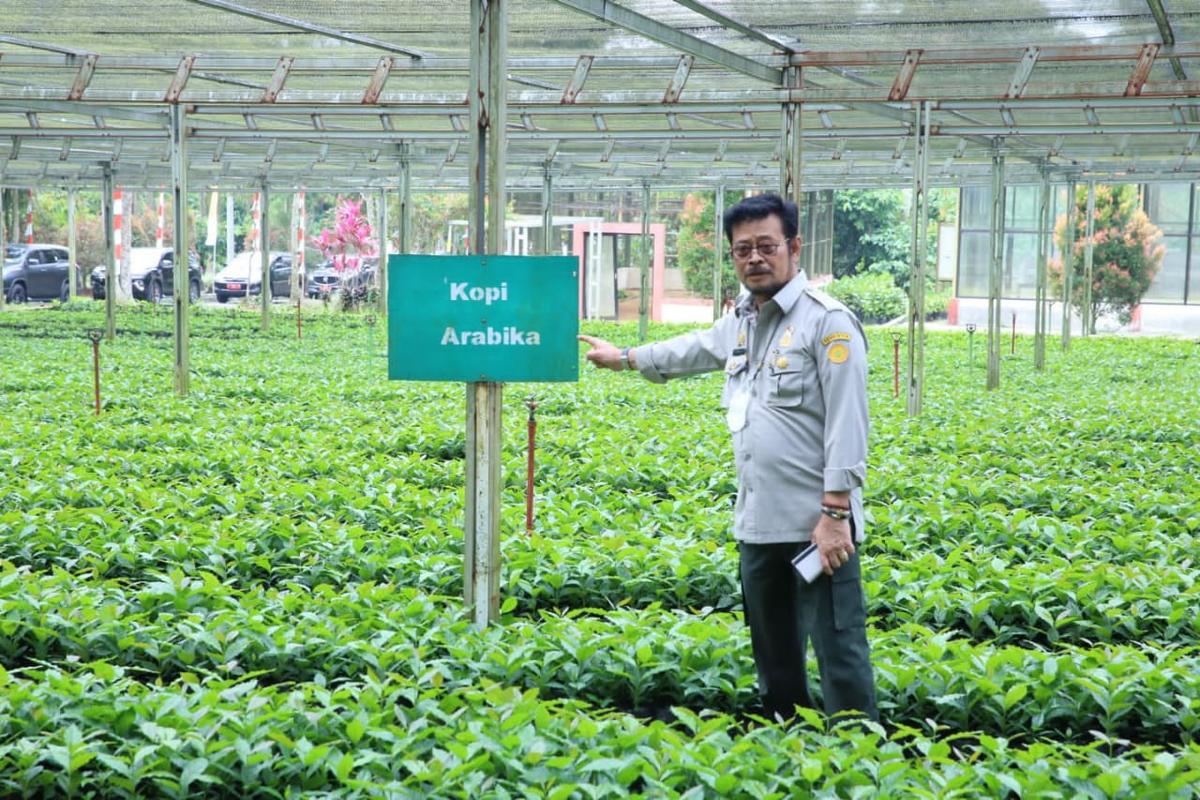 Ekonomi Riau Naik Tinggi karena Sektor Pertanian Tumbuh Positif