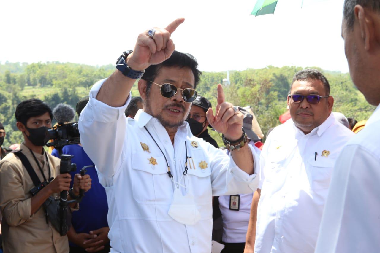 Mentan SYL Tinjau Lokasi Pengembangan Kelapa Genjah di Karanganyar