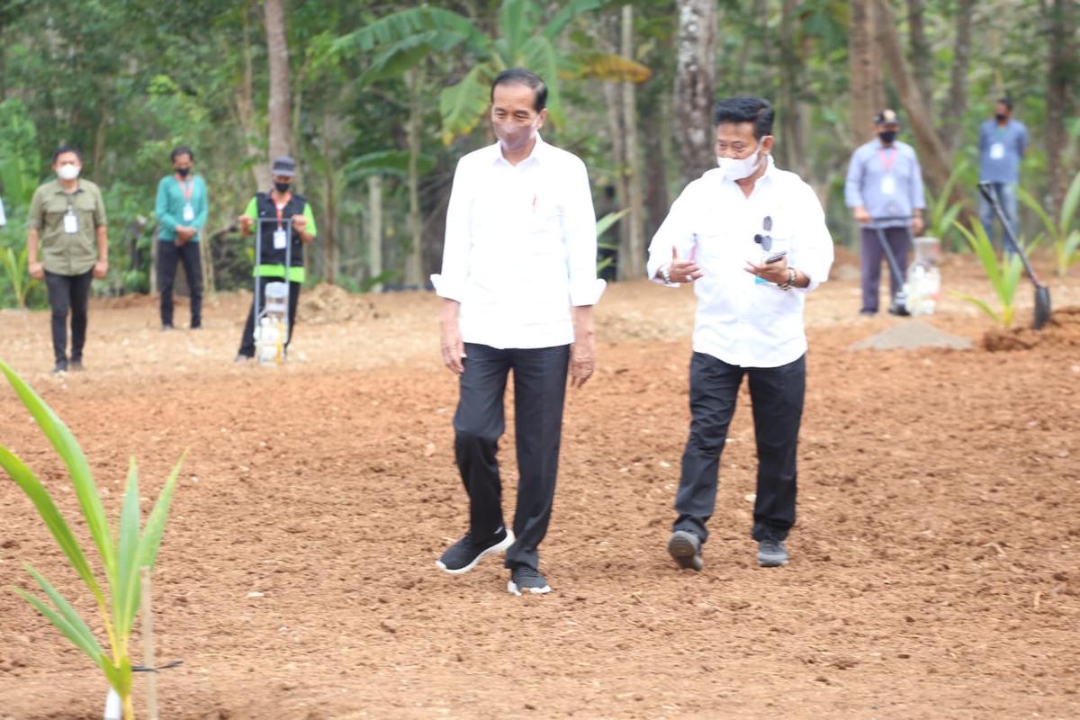 Di Solo Raya, Presiden Jokowi Lakukan Pencanangan Tanam Kelapa Genjah 1 Juta Batang Se-Indonesia