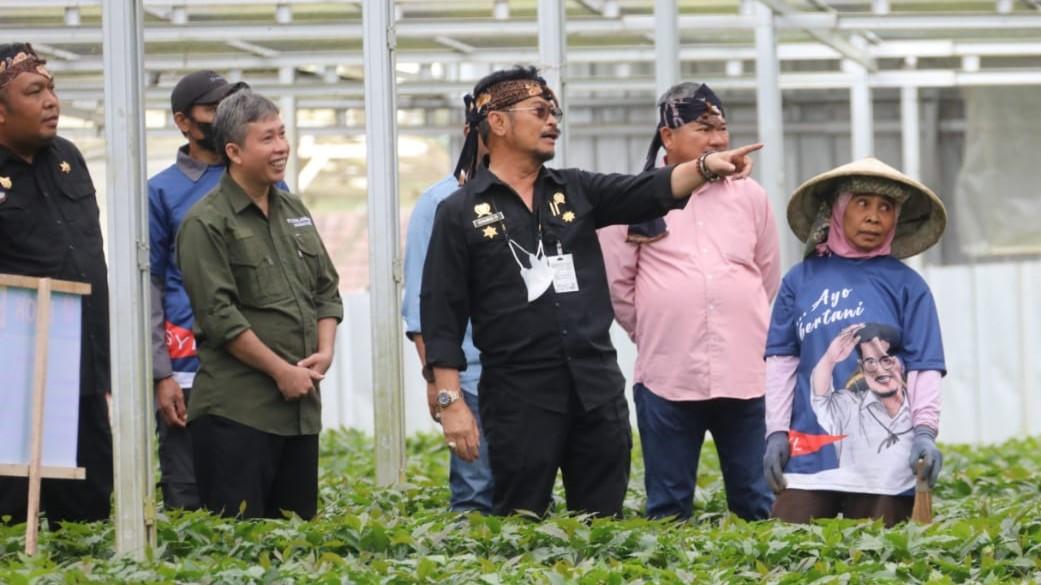 Mentan SYL: Dongkrak Ekspor melalui Pengembangan Benih Kopi Unggul