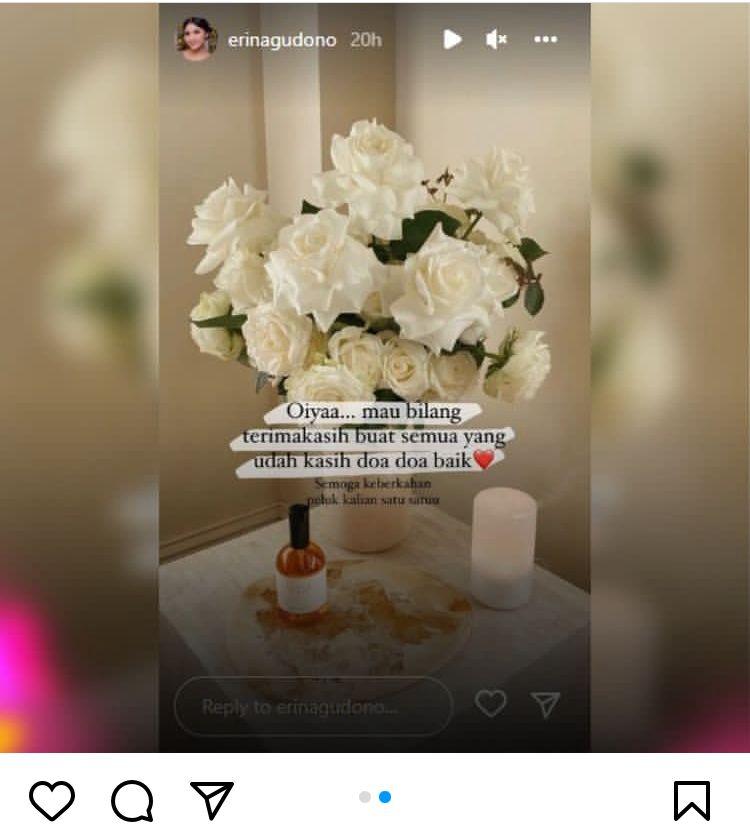 Ini Tanggapan Erina Gudono Soal Rencana Pernikahannya
