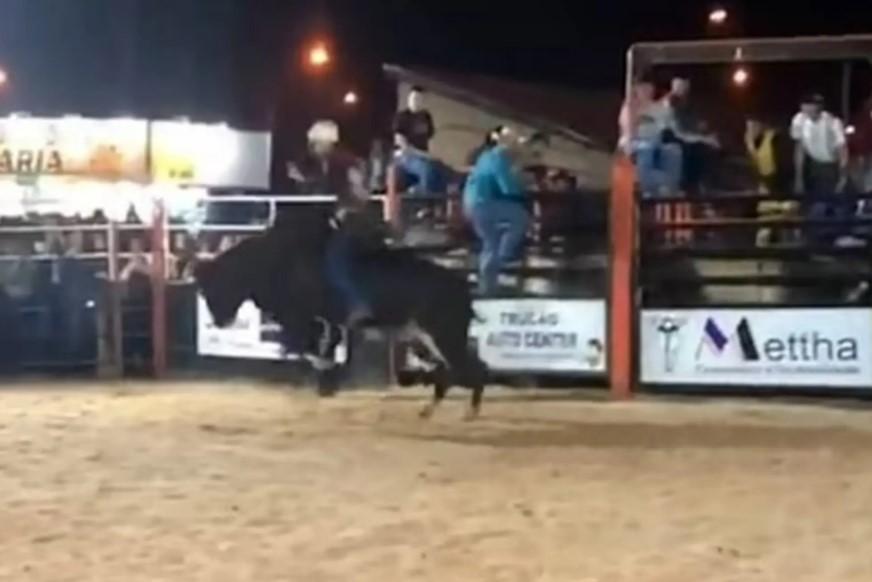 Seorang Bocah Penunggang Banteng Tewas Terlempar