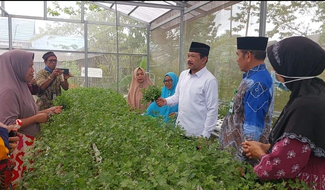 BAZNAS Berdayakan Mustahik di Kalsel Melalui Pertanian Hidroponik