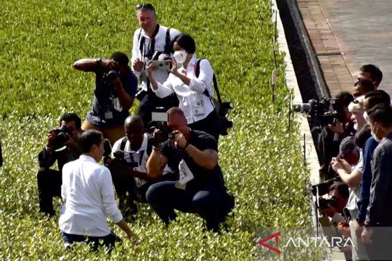 Jokowi Cek Bibit Bakau di Tahura Bali Sebelum Sambut Pimpinan Negara G20