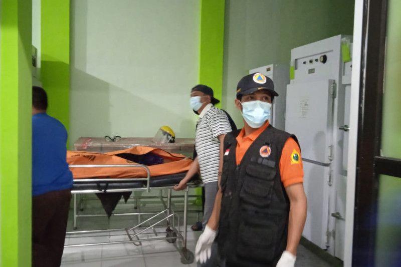 Satu Orang Tewas dan Empat Luka-luka Akibat Tertimpa Pohon Tumbang di Jember