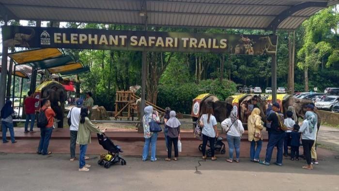 Wow! Taman Safari Bogor Dipadati Hampir 10 Ribu Wisatawan di Hari Kedua Lebaran