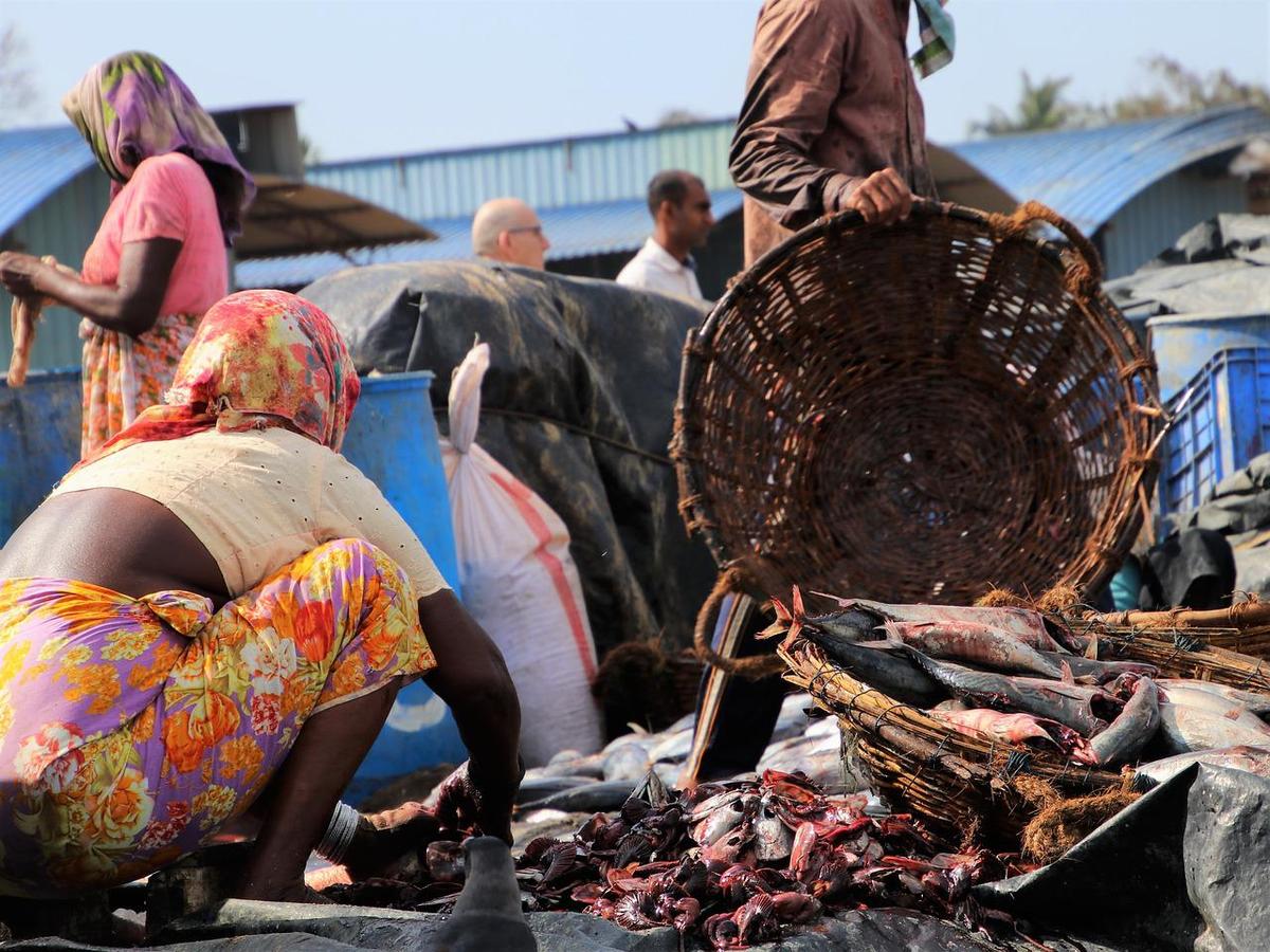 Ingin Kabur, Warga Sri Lanka Ramai-ramai Buat Paspor imbas Krisis Ekonomi