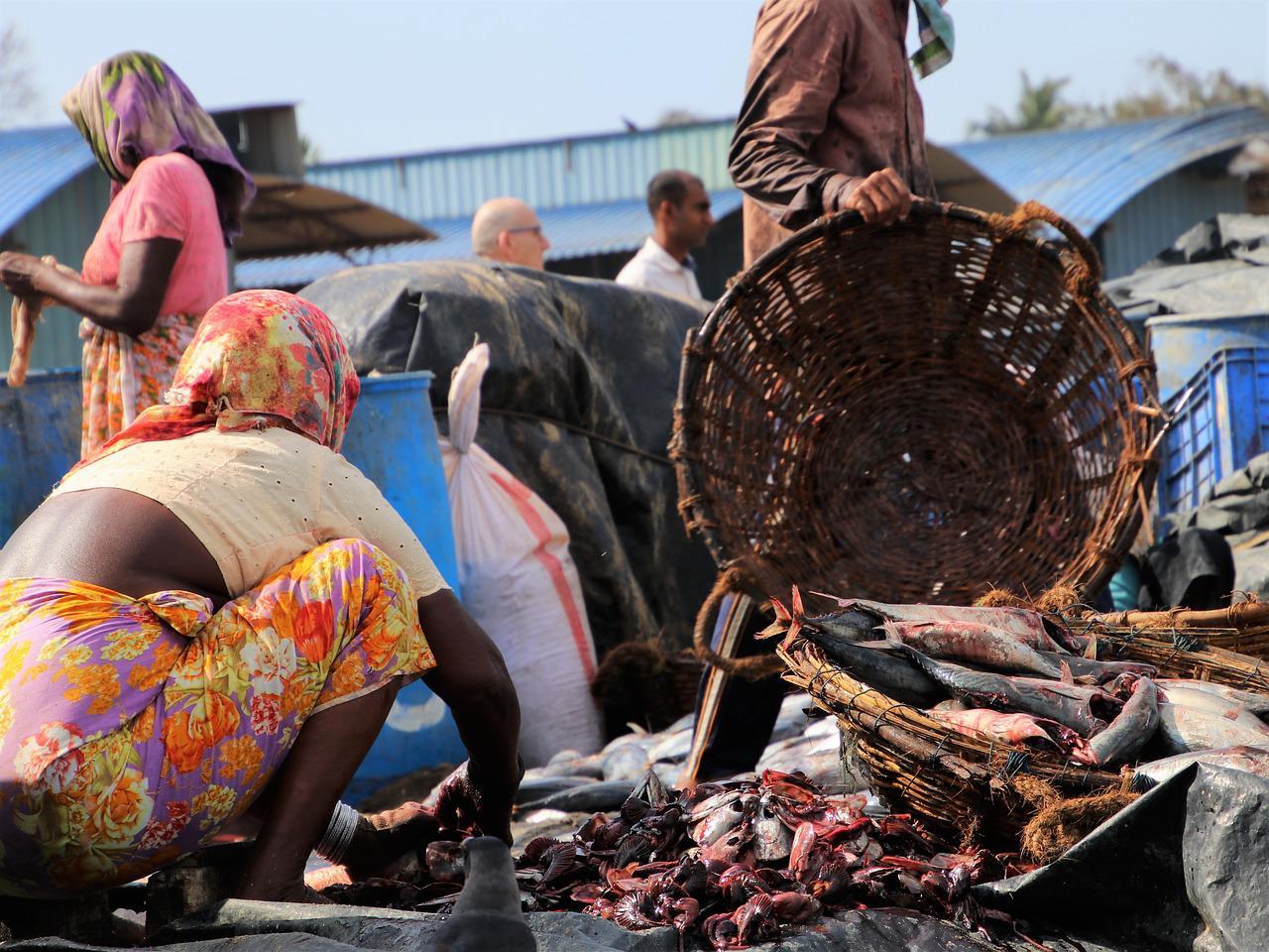 Ingin Kabur, Warga Sri Lanka Ramai-ramai Buat Paspor imbas Krisis Ekonomi