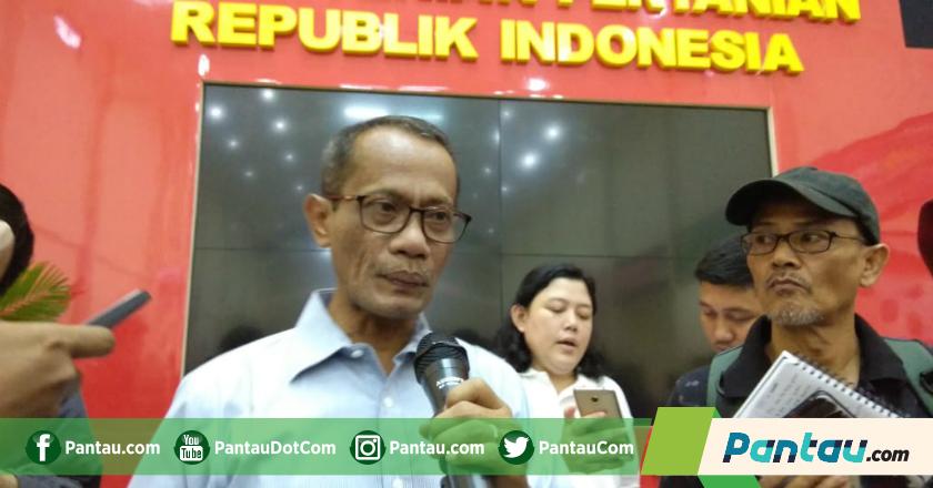 Harga Ayam Kembali Melonjak, BKP Tuding Ulah Pedagang