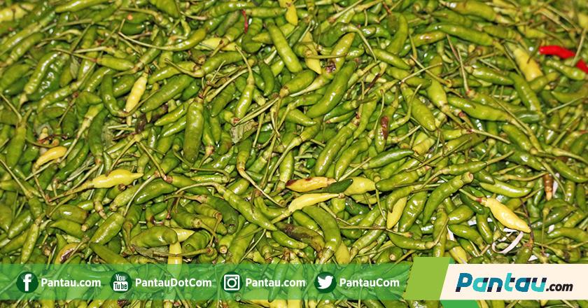 Duh, Harga Cabai Rawit Meroket Usai Pilkada Serentak