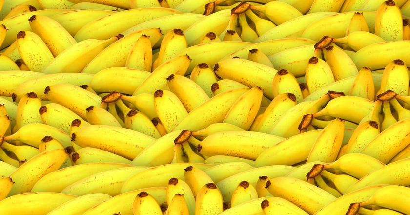 Apa yang Terjadi Jika Kita Rutin Mengonsumsi 2 Buah Pisang Setiap Hari?