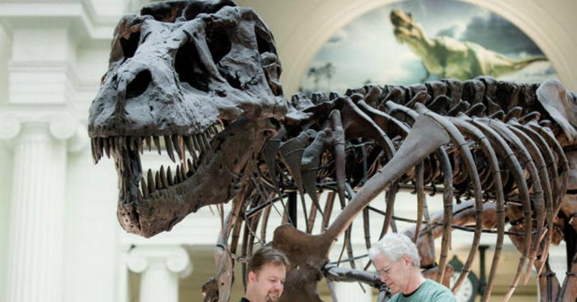 Fosil Dinosaurus Darat Terbesar di Bumi Ditemukan di Argentina