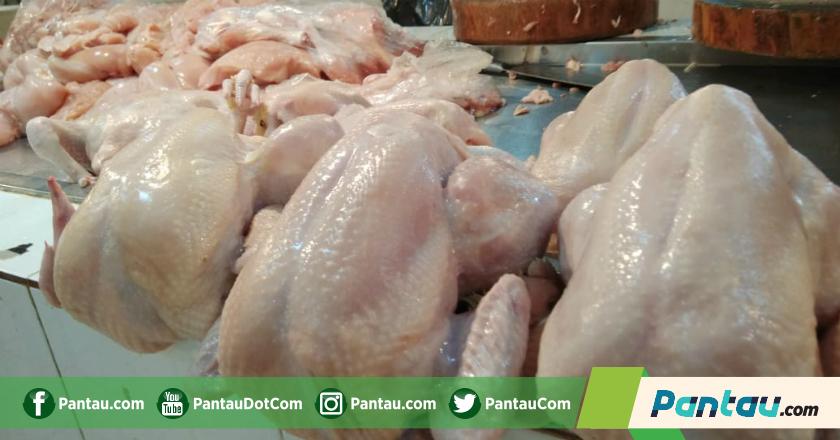 Waduh! Pedagang Ayam Mulai Mogok Jualan