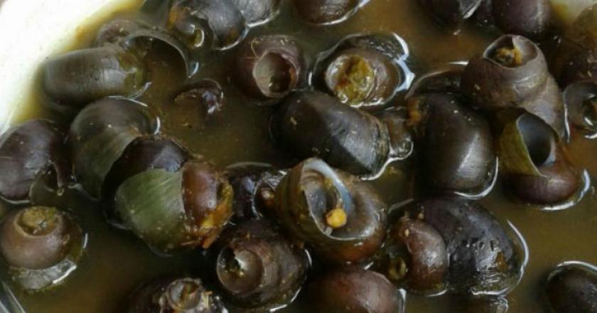 52 Warga di Sukabumi Keracunan Tutut, 1 Orang Meninggal