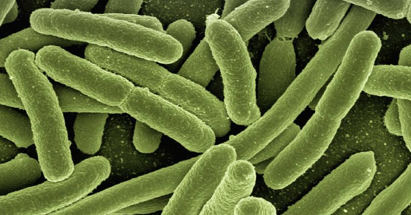 Goresan Kecil Sebabkan Betis Pria Ini Hilang Separuh Dimakan Bakteri