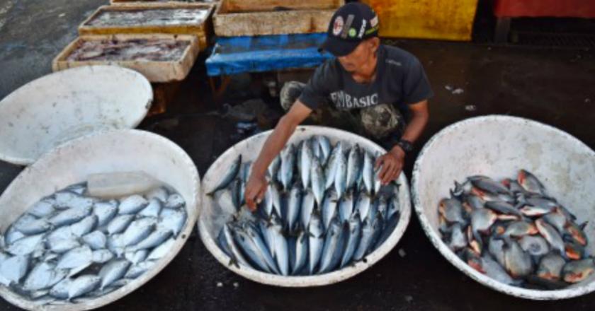 Duh! Sekarang Giliran Harga Ikan Laut Meroket