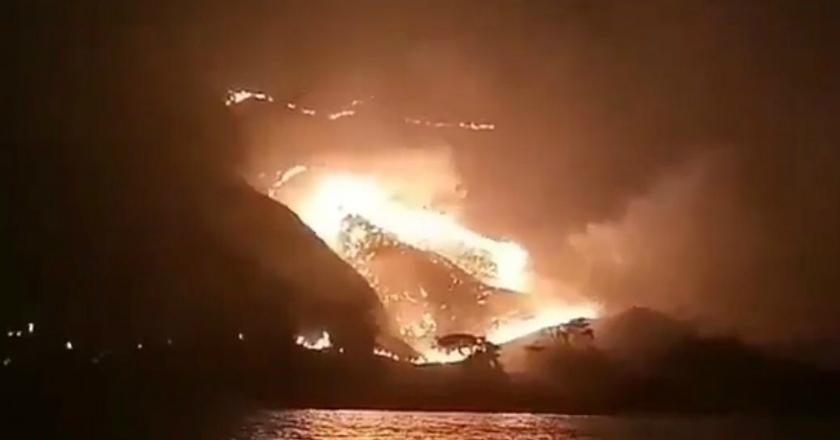 10 Hektar Lahan Gililawa Terbakar, Bagaimana Nasib Habitat Komodo?