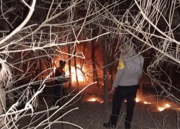 Gegara Puntung Rokok, Satu Hektare Lahan di Aceh Besar Habis Terbakar