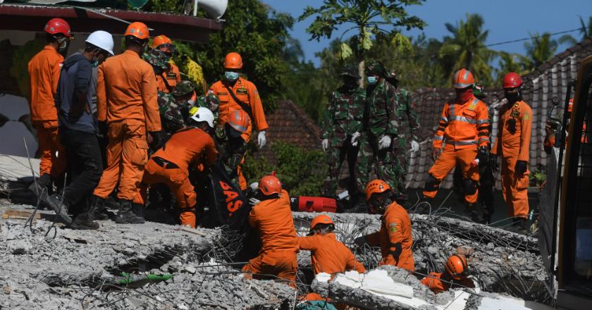 Anjing Pelacak Berperan Besar dalam Evakuasi Korban Gempa Lombok