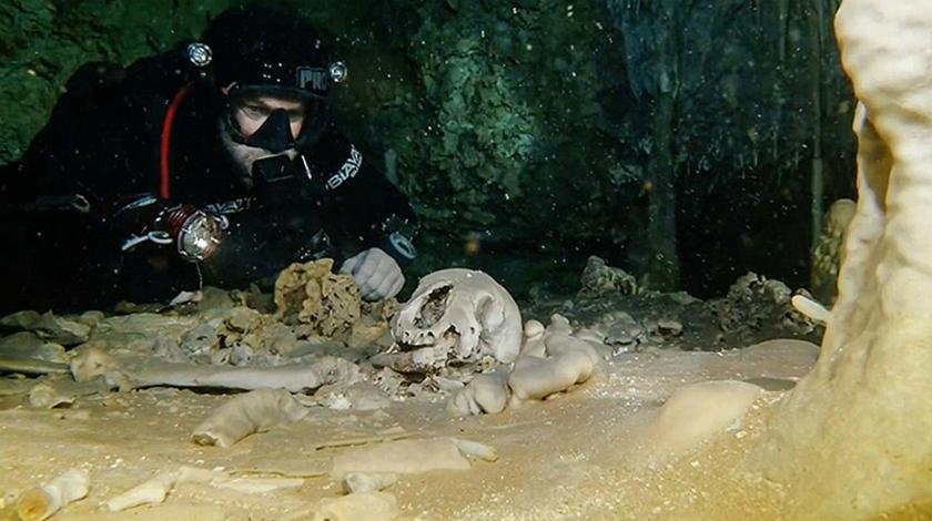 Ditemukan Fosil Manusia Berusia 9.000 Tahun di Gua Meksiko