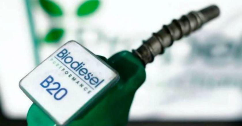 Seriusi B20, PTPN-Pertamina Rencanakan Bangun Pabrik Biodiesel