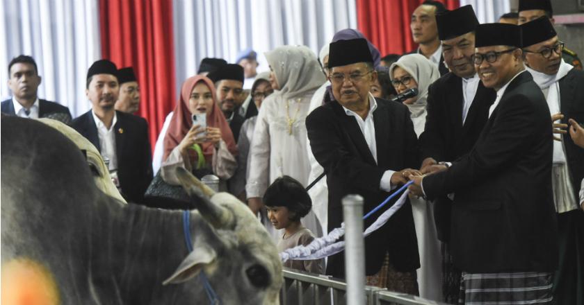 Wapres JK Serahkan Langsung Hewan Kurban ke Istiqlal