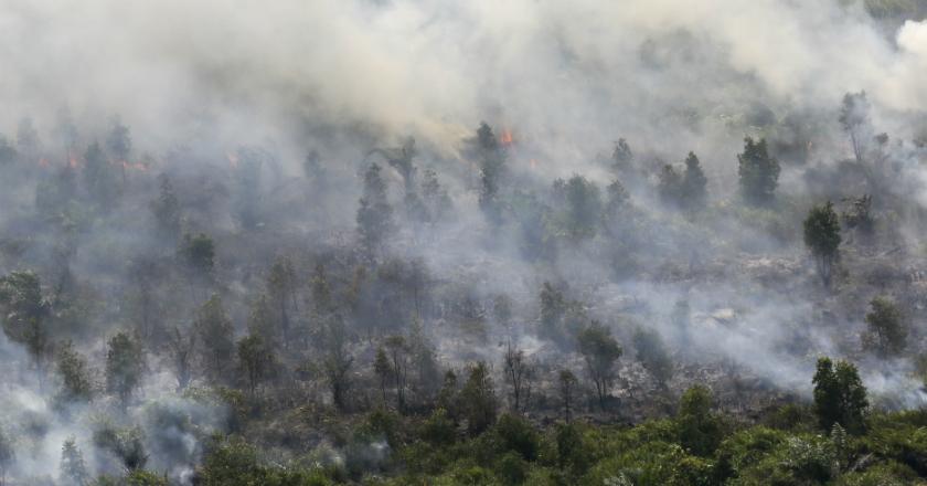 Polisi Ajak Warga Rekam dan Viralkan Pelaku Pembakaran Hutan di Kalbar