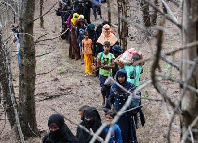 Demi Cegah Perdagangan Manusia, UNHCR Indonesia Ingatkan Pengungsi Rohingya di Aceh agar Tidak Kabur