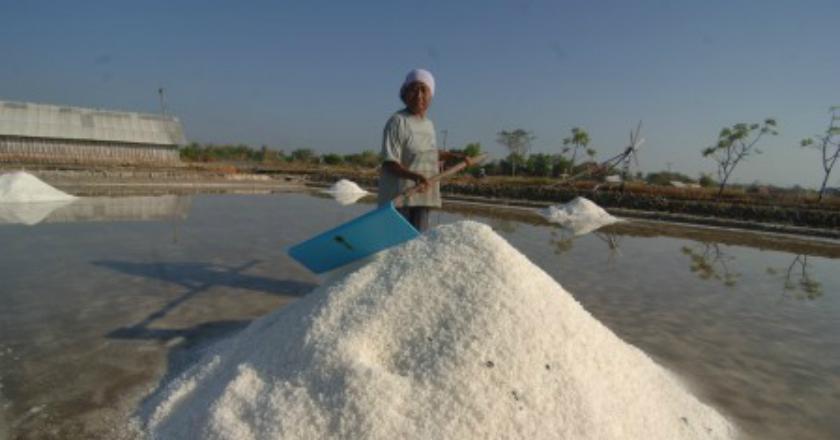 Tak Hanya Beras, Impor Garam dan Gula Juga Jadi Catatan