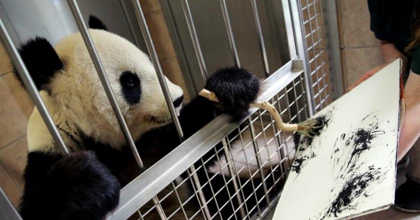 Lukisan Panda Ini Diklaim Mirip Ekspresionis Abstrak Ternama dari AS