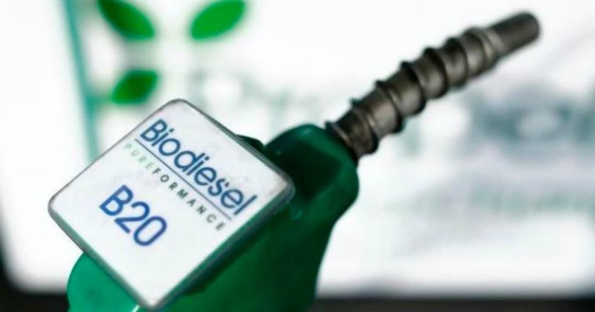 Kurangi Impor Solar, Pemerintah Siapkan 2,9 Juta Kilo Liter B20