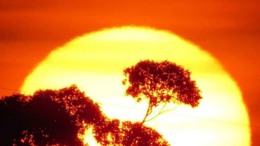 Melihat Kembali Musim Panas Ekstrem di Australia yang Fenomenal