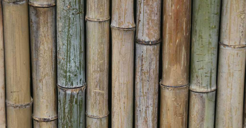 'Bobok Bumbung', Cara Unik Bayar Pajak Bumi dan Bangunan di Indonesia